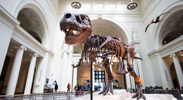 Şehir müzelerinde sanat turu yapın