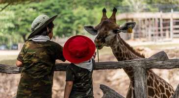 Nairobi Milli Parkı'nda hayvanların doğal yaşam alanlarını görün