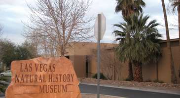 Las Vegas Doğal Tarih Müzesi’ni ziyaret edin  