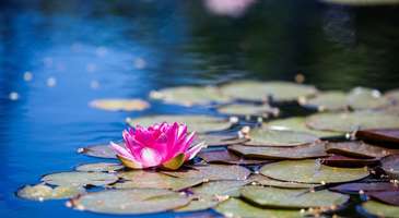 Sarab-e Nilufar’ın romantizmine kapılın 