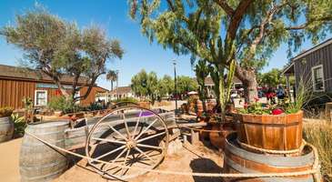 Old Town’da geçmişe yolculuk yapın