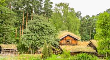 Doğa Tarihi Müzesi ve botanik bahçelerini gezin