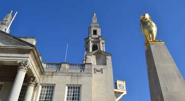 Leeds Owl Trail boyunca baykuşları gözlemleyin