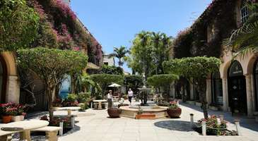 Palm Beach Botanik Bahçesi’ni gezin