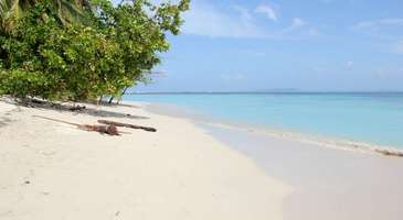 Berrak sularında yüzün