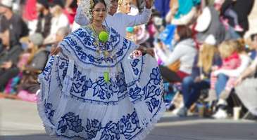 Yerel dans şovlarını izleyin