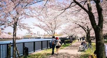Kema Sakuranomiya Park