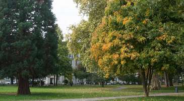 Parc Salvator’ta konser dinleyin