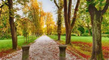 Tivoli Park ve Rožnik Tepesi’ne gidin