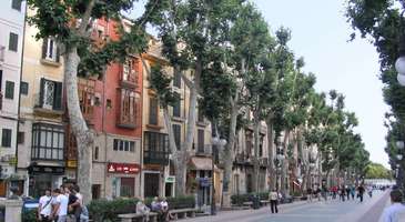 Passeig des Born