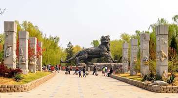 Pekin Hayvanat Bahçesi’nde dolaşın 