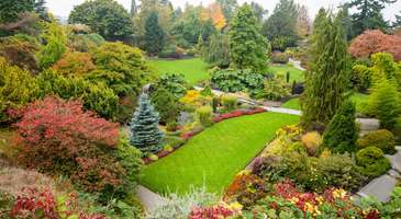 Queen Elizabeth Parkı