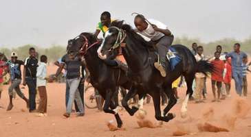 Niamey Hipodromu’nda yarışları seyredin  