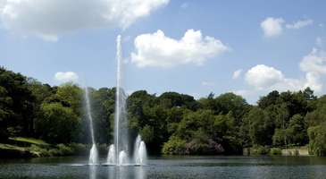 Roundhay Parkı’ndaki göl kenarında piknik yapın
