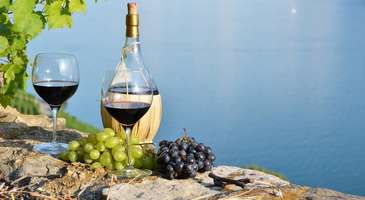 Domaine de Brin’de Fransız şaraplarının tadına bakın
