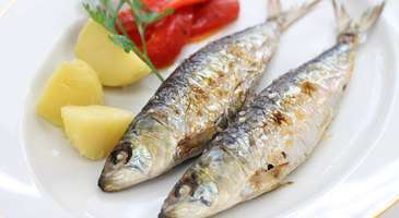 Sardinhas