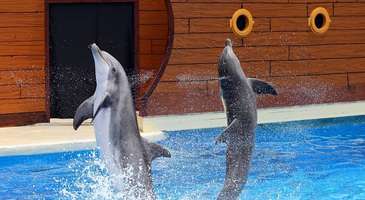 SeaWorld