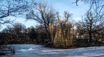 Lukomorye Şehir Parkı