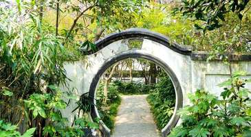Guilin Park'ta kuş sesleri yarışmasını izleyin