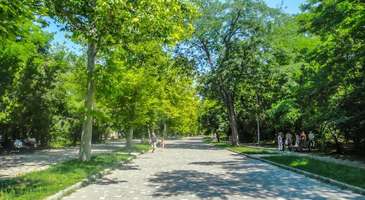 Taras Shevchenko Parkı’nda vakit geçirin