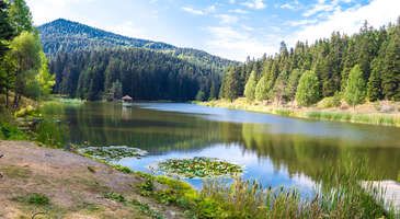 Sinop'un yemyeşil yaylarında kamp yapın