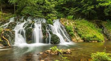 Strandja Dağı’nda trekking yapın