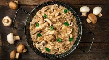 Stroganoff