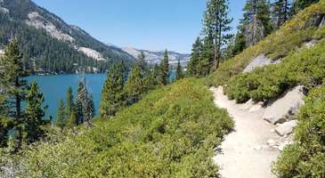 Tahoe Rim ve Cool’da doğa sporları yapın
