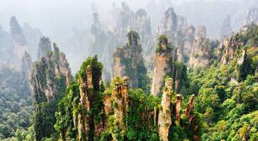  Zhangjiajie Milli Orman Parkı’na gidin 