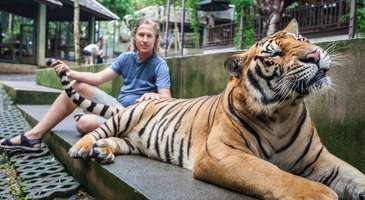 Tiger Kingdom