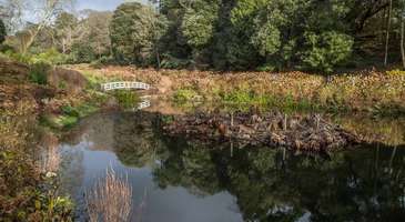 Trebah Bahçesi’nde çocuklar gibi eğlenin