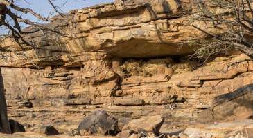 Trek Dogon bölgesine gidin