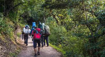 Wadi Shab’ta trekking yapın