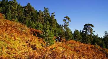 Karabük Katır Yolu’nda trekking yapın