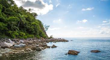 Turtle Point ve Manta Ray’de dalış yapın