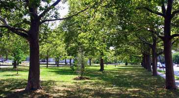Marine Park Center