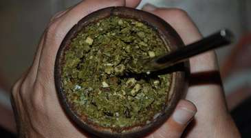 Mate Çayı