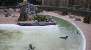 Tierpark Aachen: