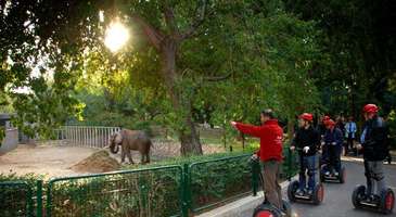 Safari Parkı