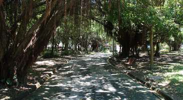 Jingze Parkı