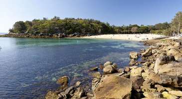 Shelly Beach