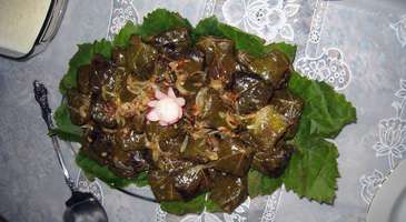 Dolma