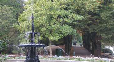 Kungsparken