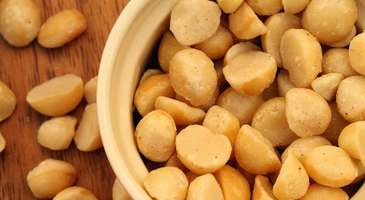 Macadamia fındığı