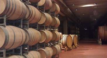 Şarap Tadım Turları