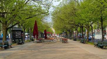 Unter den Linden Caddesi boyunca yürüyün