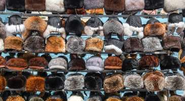 Sarepta’dan hardal yağı ve ushanka satın alın