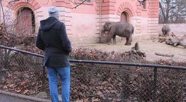 Wroclaw Hayvanat Bahçesi