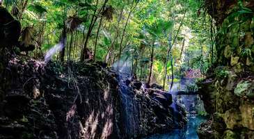 Xcaret Eğlence Parkı’nın tadını çıkarın 