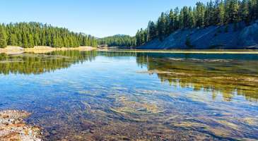 Yellowstone Milli Parkı’nda kamp yapın